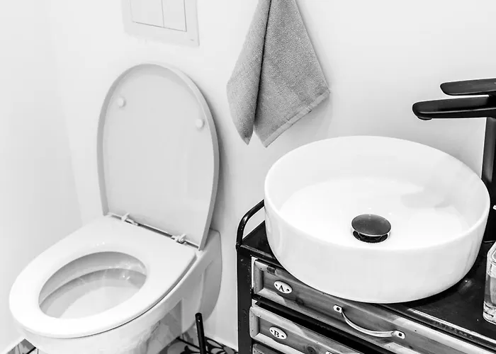 Thome Bucegi Smart Budget