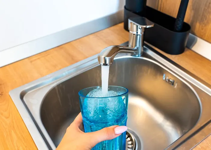 Thome Bucegi Smart Budget דירה