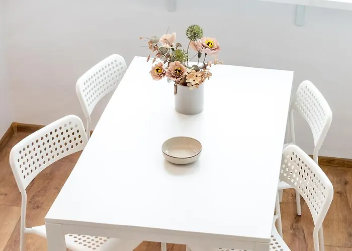 Thome Bucegi Smart Budget * קלוז'-נאפוקה